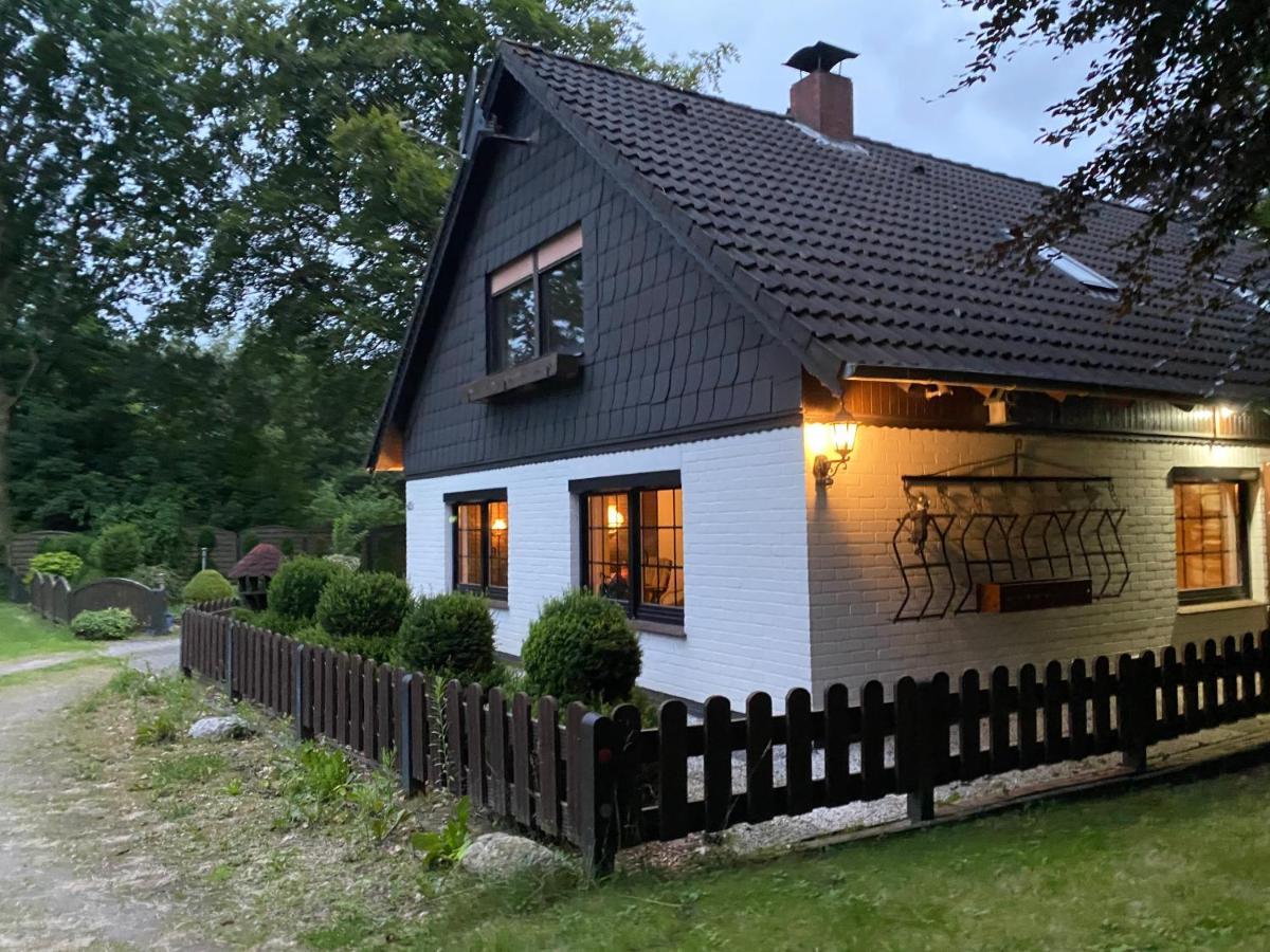 Zwischen Wald Und Apartment