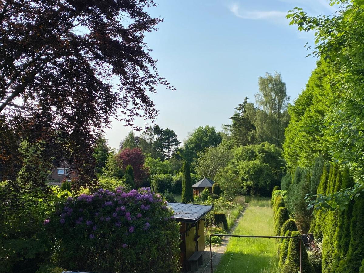 Zwischen Wald Und